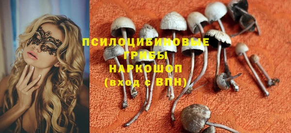 крисы Михайлов