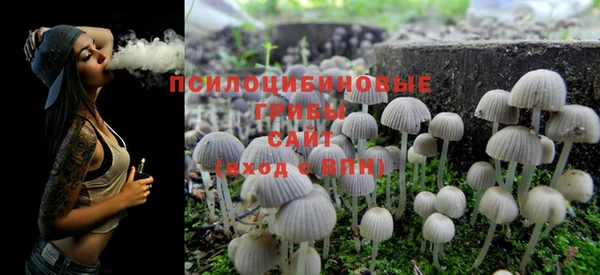 крисы Михайлов