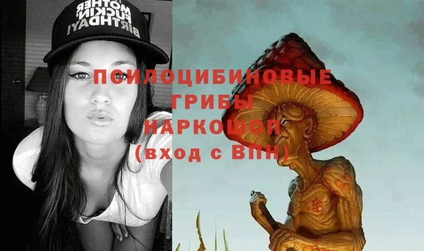Альфа ПВП Михайловск