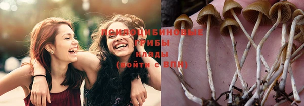 крисы Михайлов