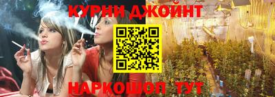 apvp Гагарин