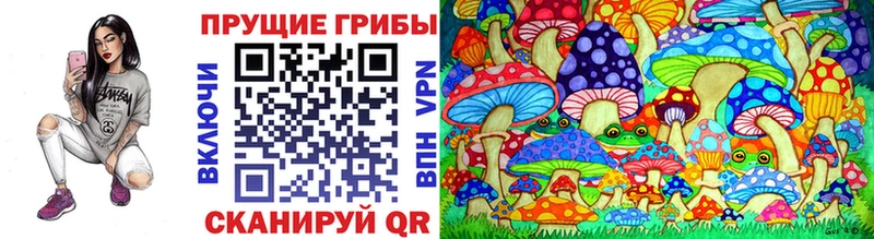 Галлюциногенные грибы Psilocybine cubensis darknet официальный сайт Менделеевск