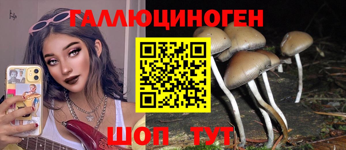 Псилоцибиновые грибы прущие грибы Менделеевск