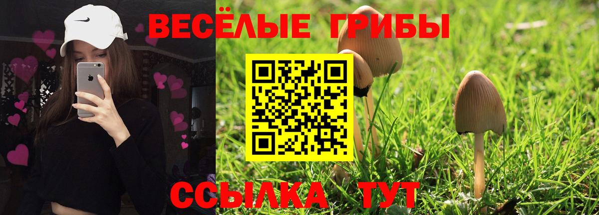 Псилоцибиновые грибы ЛСД Менделеевск