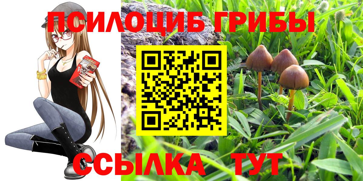 Менделеевск  Галлюциногенные грибы мухоморы  Вход с VPN 